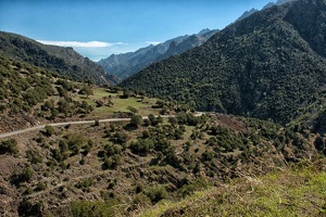  Das Vallée d'Asco in Zentral-Korsika